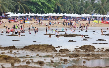 Khánh Hòa tăng cường bảo vệ rạn san hô sát bãi tắm của người dân