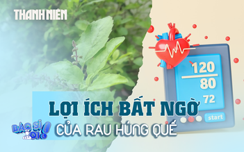 Loại rau quen thuộc này giúp chống ung thư, tiểu đường, mỡ máu