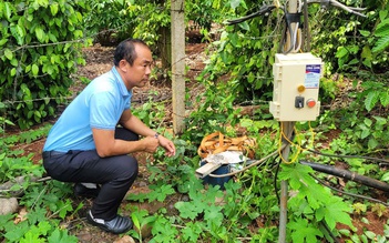 TP.HCM: Vì sao người dân xã Bàu Lâm khóc ròng vì giếng mất nước tưới cây?