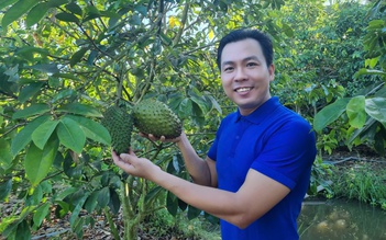 Chàng trai vùng quê thu lãi hơn 30 triệu đồng/tháng nhờ trà mãng cầu