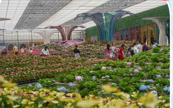 Cam Ly - Đà Lạt: ‘Thủ phủ’ du lịch canh nông tỉnh Lâm Đồng