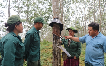 Điểm sáng trong công tác phát triển đảng viên người dân tộc thiểu số