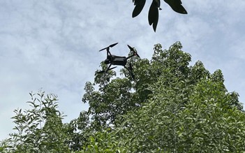 Khi drone tuần thám rừng