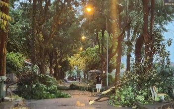 T.Ư Đoàn đề nghị ứng phó khẩn cấp với bão số 3
