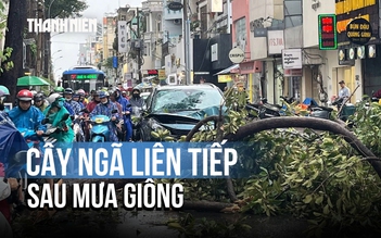 Cây ngã liên tiếp trên đường phố TP.HCM sau cơn mưa giông