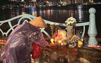 'Gấu ơi về nhà đi con ngoài biển lạnh lắm'