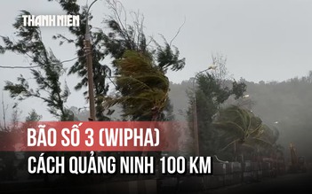 Bão số 3 (Wipha) cách Quảng Ninh 100 km, có khả năng mạnh thêm

