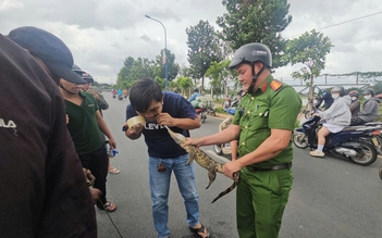 Dùng cần câu, thòng lọng bắt cá sấu dưới kênh Nước Đen ở TP.HCM