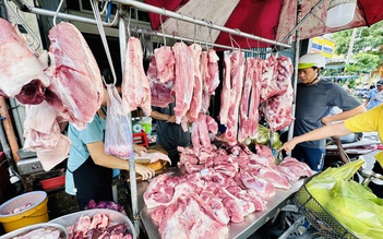 Giá heo hơi hôm nay 22.7.2025: Lao dốc