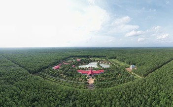 Đảng bộ VRG: Hành trình bền bỉ sáng tạo, đổi mới và vươn mình