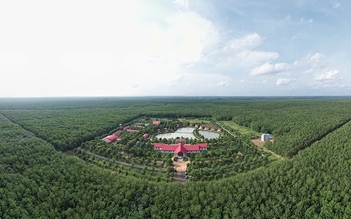 VRG: Từ trụ cột nông nghiệp đến đầu tàu phát triển bền vững