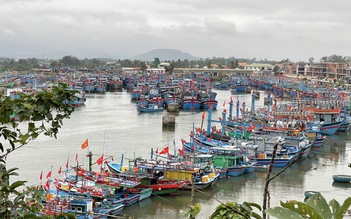 Thủ tướng yêu cầu đẩy mạnh phát triển vận tải đường thủy