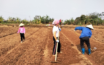 Khi mẹ chồng tôi là tấm gương tiết kiệm điện