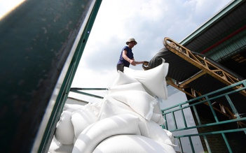 Thái Lan quyết cạnh tranh với gạo Việt Nam tại thị trường số 1 thế giới