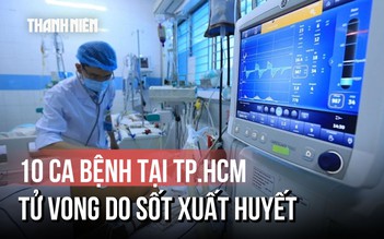 Báo động: 10 ca tử vong do sốt xuất huyết ở TP.HCM
