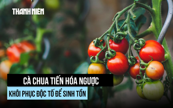 Hiện tượng tiến hóa ngược hiếm gặp liệu có xảy ra ở người?