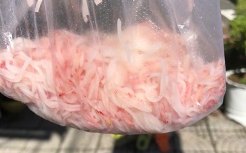 Đà Nẵng: Xác minh phản ánh bún đổi màu hồng