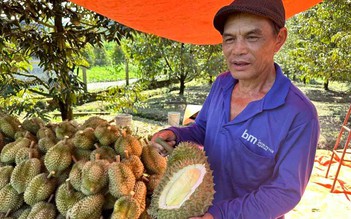 Sầu riêng - loại trái cây tỉ USD đã trở lại