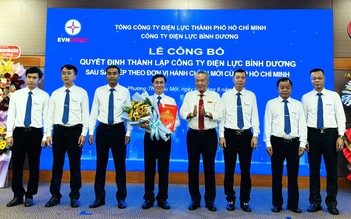Bình Dương và Bà Rịa - Vũng Tàu thành lập 5 điện lực khu vực thuộc EVNHCMC
