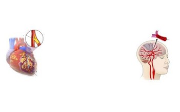 Nhận biết dấu hiệu có thể gây tử vong tức thời