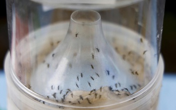 3 biện pháp phòng bệnh chikungunya