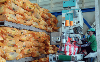 Philippines gom hàng trước 'giờ G', giá gạo Việt Nam tăng vọt