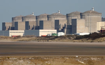 Nhà máy điện hạt nhân phải ngừng chạy vì sứa