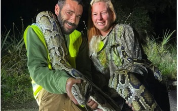 Lãnh thưởng 1.000 USD nhờ bắt 87 con trăn