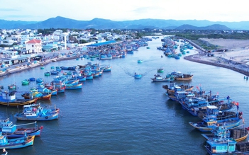 'Hồn biển' bên sông Cà Ty