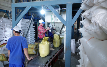 Doanh nghiệp gạo bị 'nợ' hoàn thuế VAT cả trăm tỉ đồng