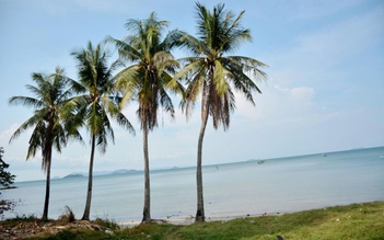 An Giang: 2 du khách tử vong khi chèo thuyền sup ở đảo Hòn Tre