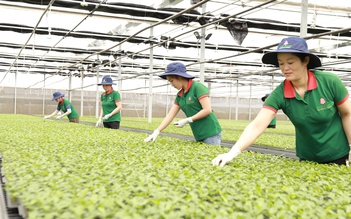 Gia Lai mở lối xuất khẩu nông sản tỉ đô sang thị trường Trung Quốc