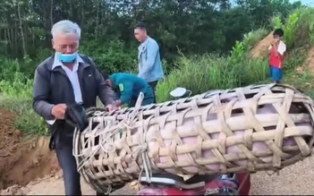 Đà Nẵng: Phát hiện người đàn ông chở heo bệnh đi tiêu thụ