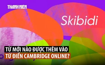 Từ ‘thối não’ skibidi của Gen Z vào từ điển Cambridge
