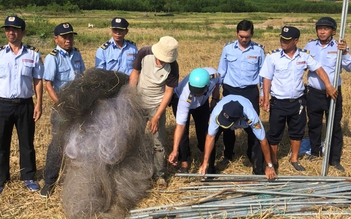 Khánh Hòa: Báo động tình trạng bẫy chim yến trái phép