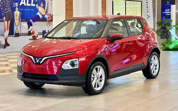 Tài chính khoảng 500 triệu đồng mua được ô tô điện nào?