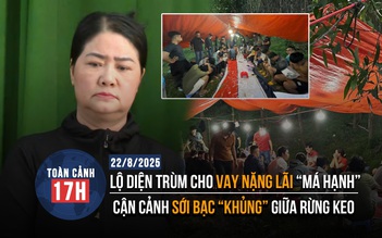 Toàn cảnh 17h: Băng rừng vây bắt sới bạc giữa rừng keo | Bắt giám đốc ngân hàng liên quan 'má Hạnh'