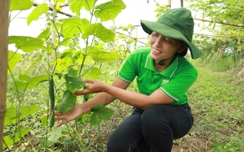 Người phụ nữ 'xanh' ở xã đảo Minh Châu