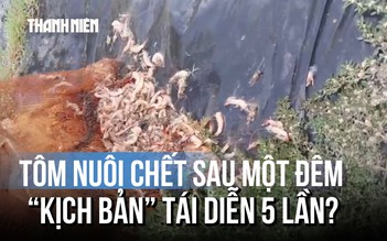 Uẩn khúc 5 lần ao tôm nghi bị 'thuốc': Chủ ao kiệt quệ, tính đường rời quê