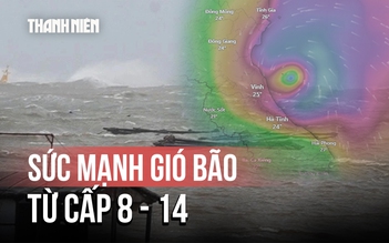 'Giải mã' sức mạnh gió bão từ cấp 8 đến cấp 14