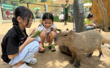 Thảo Cầm Viên Sài Gòn miễn vé cổng sau 17 giờ dịp nghỉ lễ Quốc khánh 2.9