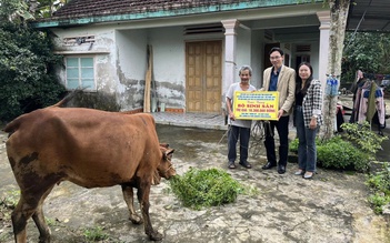 Lặng lẽ bắc nhịp cầu yêu thương