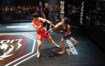 Tại sao MMA lại hấp dẫn?