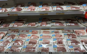 Giá heo hơi hôm nay 27.8.2025: Bất ngờ rớt mạnh