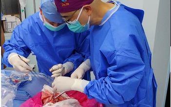 Lần đầu tiên phổi heo được cấy ghép thành công cho người