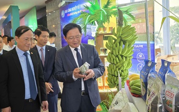 4 tỉ USD cam kết đầu tư vào Gia Lai, những 'ông lớn' nào góp mặt?