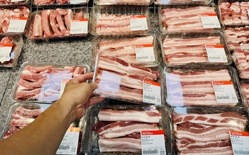 Giá heo hơi hôm nay 30.8.2025: Chờ tín hiệu mới