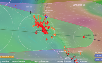Sắp đổ bộ vào đất liền, bão số 6 gây mưa lớn đến 400mm