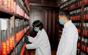 Trích dẫn sai tài liệu lưu trữ có thể bị phạt đến 30 triệu đồng