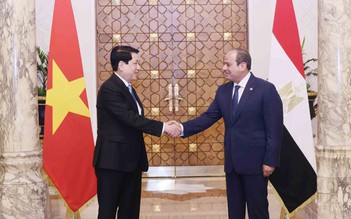 VN - Ai Cập nâng cấp quan hệ Đối tác toàn diện